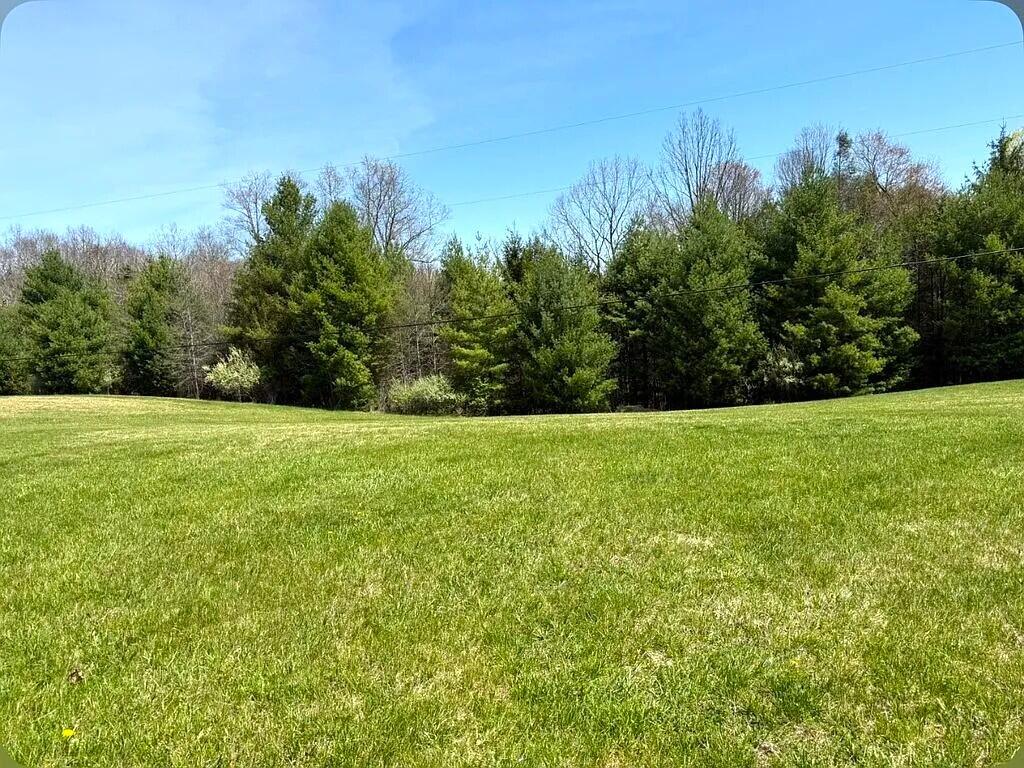 576 Brownsburg Road Marlinton, WV 24954 - Photo 11 of 46 8