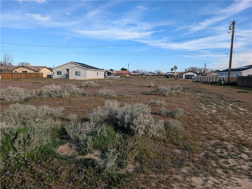 a view of a dry yard with wooden fence