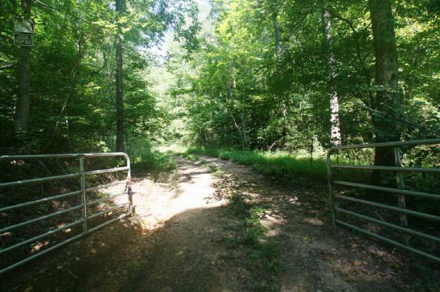 1 South L Mccaleb Road Nunnelly, TN 37137 - Photo 13 of 20 front gate to property