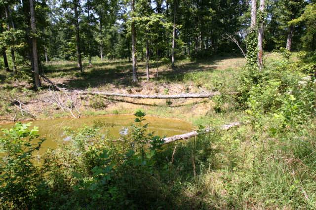 1 South L Mccaleb Road Nunnelly, TN 37137 - Photo 17 of 20 pond by the cabin is stocked and spring fed