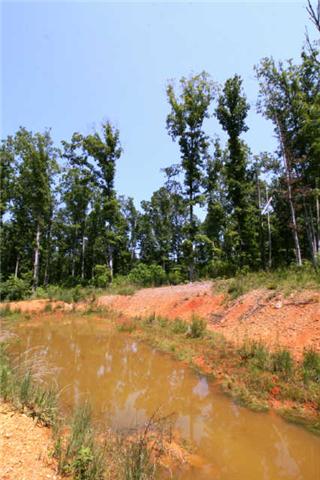 1 South L Mccaleb Road Nunnelly, TN 37137 - Photo 2 of 20 pond near cleared area by driveway