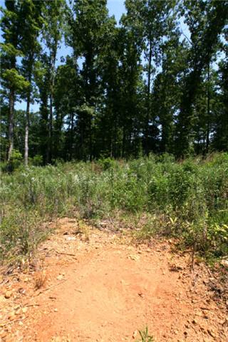 1 South L Mccaleb Road Nunnelly, TN 37137 - Photo 3 of 20 evidence of deer, can you find the tree stand?