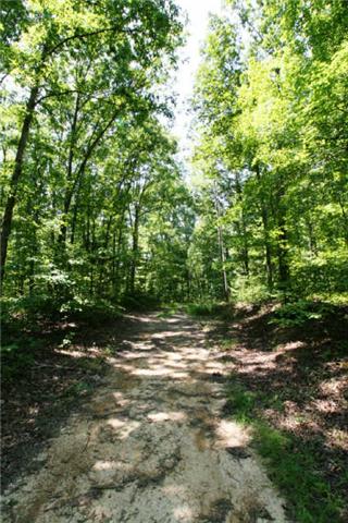 1 South L Mccaleb Road Nunnelly, TN 37137 - Photo 4 of 20 Nice logging roads run along the property line back to the TVA easement, makes for easy access to the back of the property