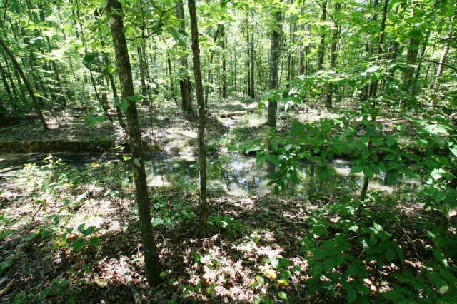 1 South L Mccaleb Road Nunnelly, TN 37137 - Photo 8 of 20 wet roadbed