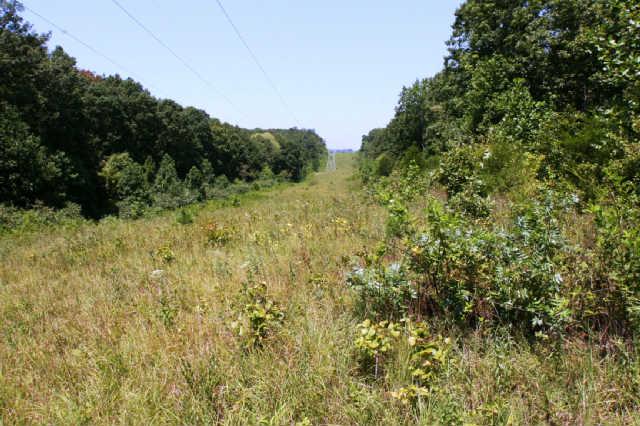 1 South L Mccaleb Road Nunnelly, TN 37137 - Photo 10 of 20 TVA powerline easement located at far back of property