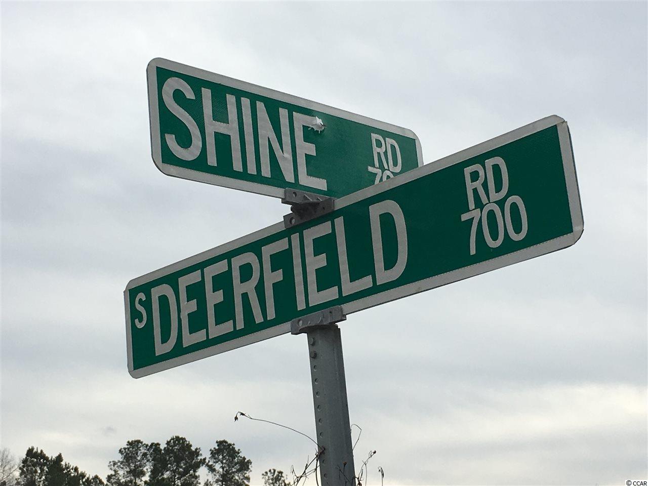 751 South Deerfield Road Johnsonville, SC 29555 - Photo 14 of 14