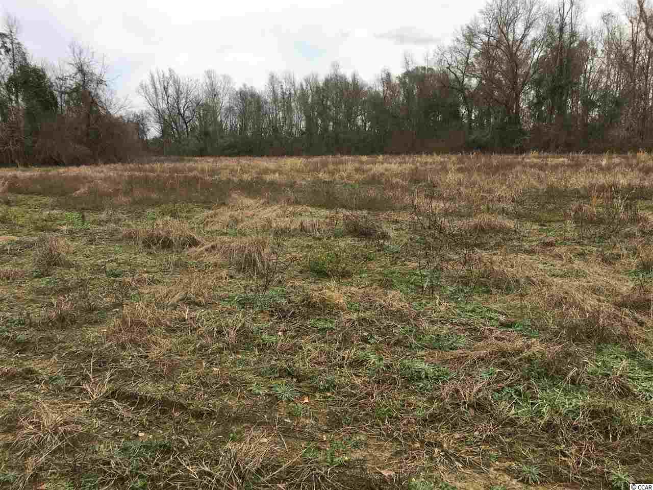 751 South Deerfield Road Johnsonville, SC 29555 - Photo 4 of 14