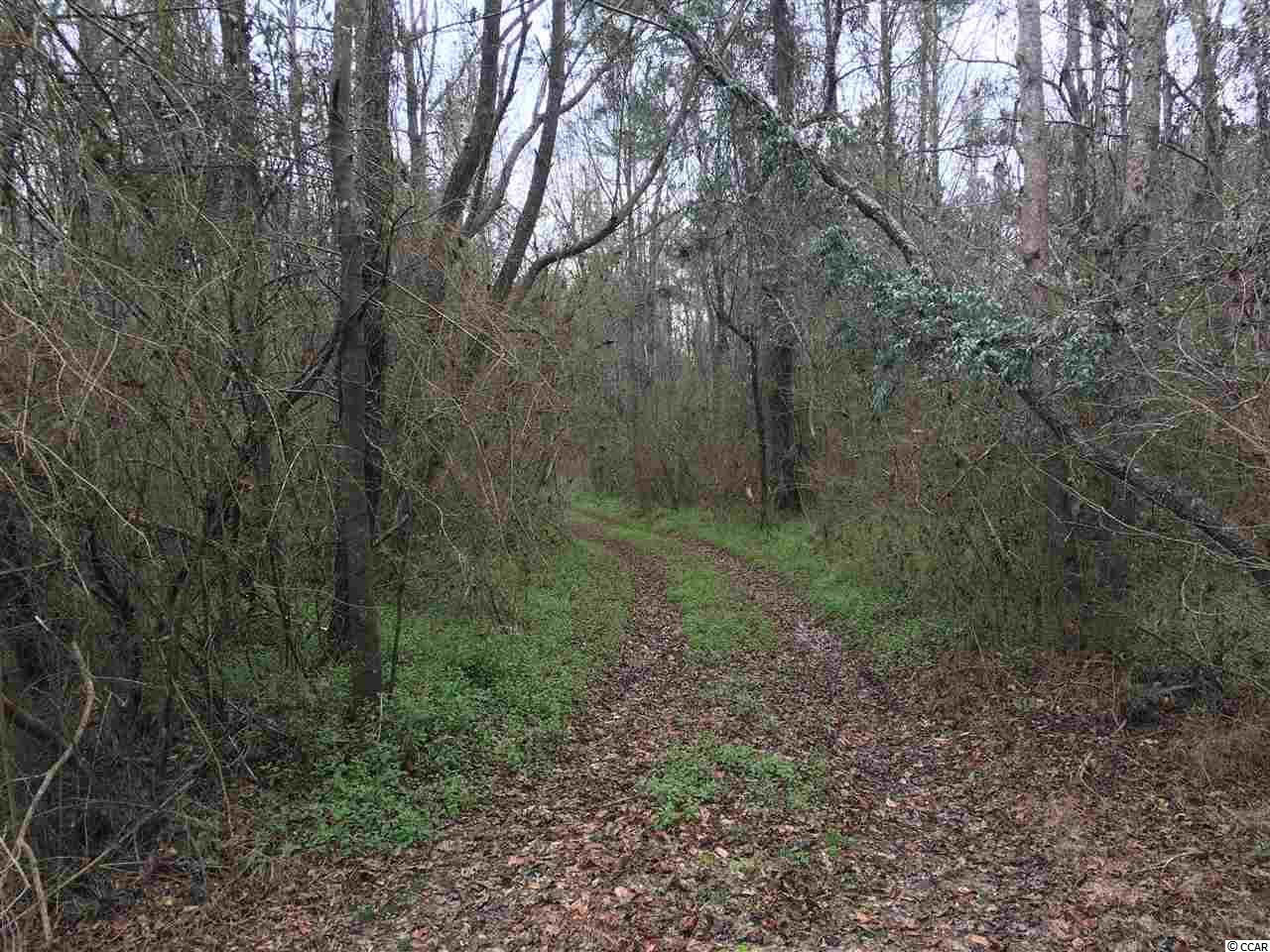 751 South Deerfield Road Johnsonville, SC 29555 - Photo 5 of 14