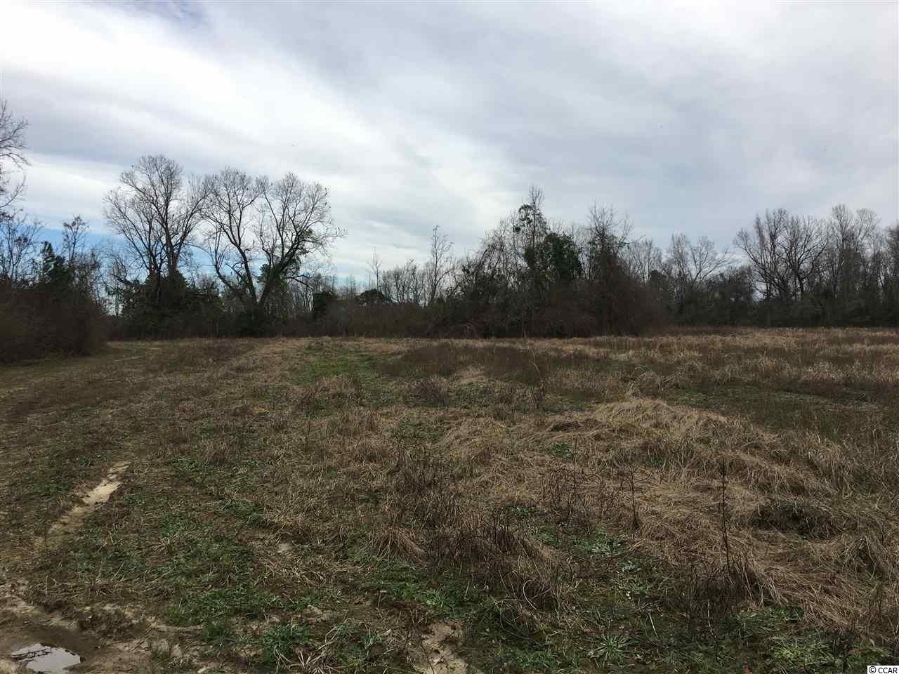 751 South Deerfield Road Johnsonville, SC 29555 - Photo 6 of 14