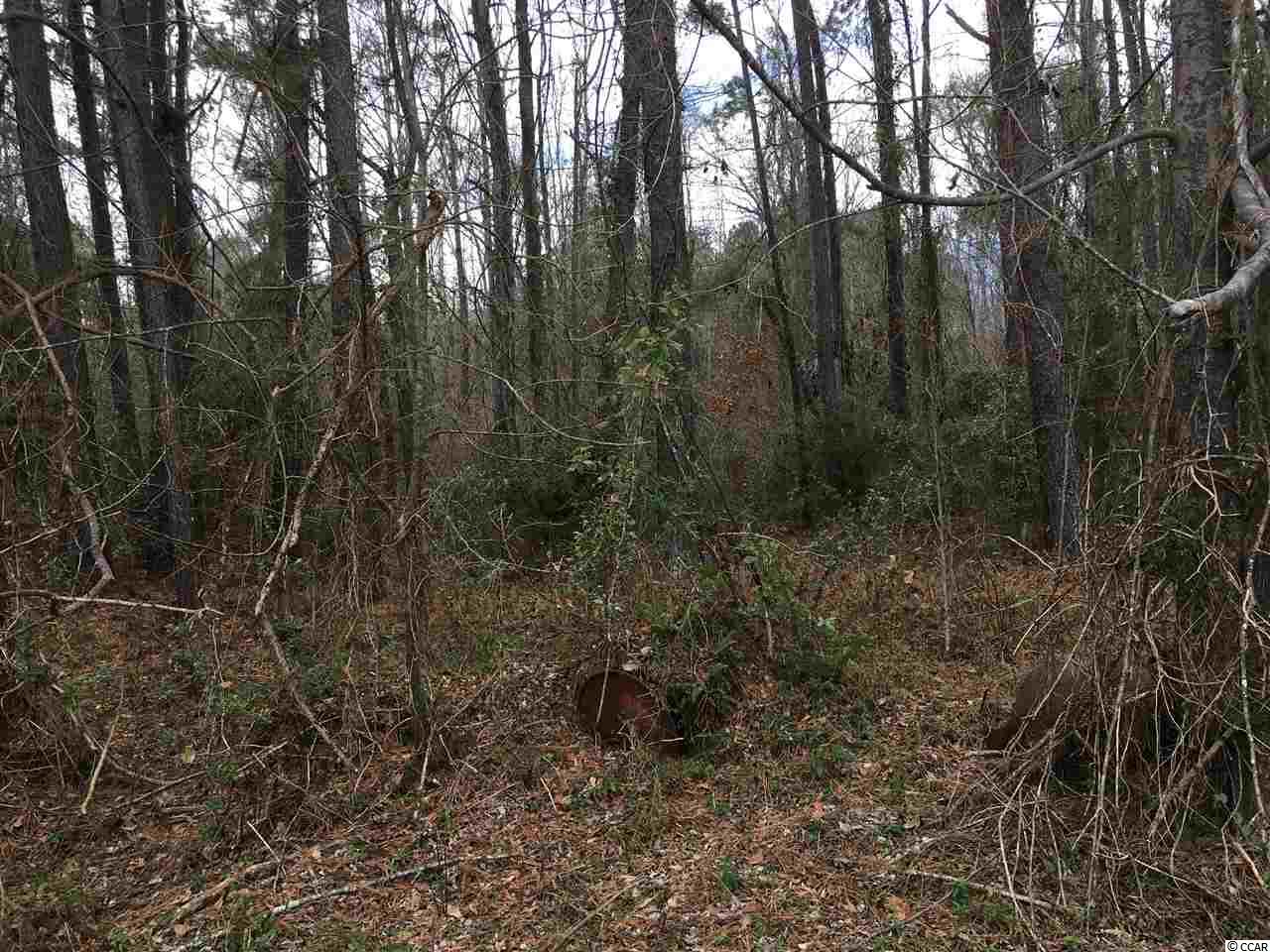 751 South Deerfield Road Johnsonville, SC 29555 - Photo 7 of 14