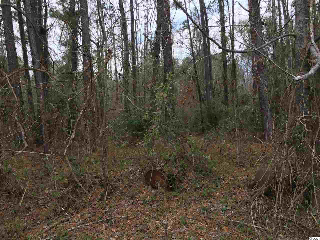 751 South Deerfield Road Johnsonville, SC 29555 - Photo 8 of 14