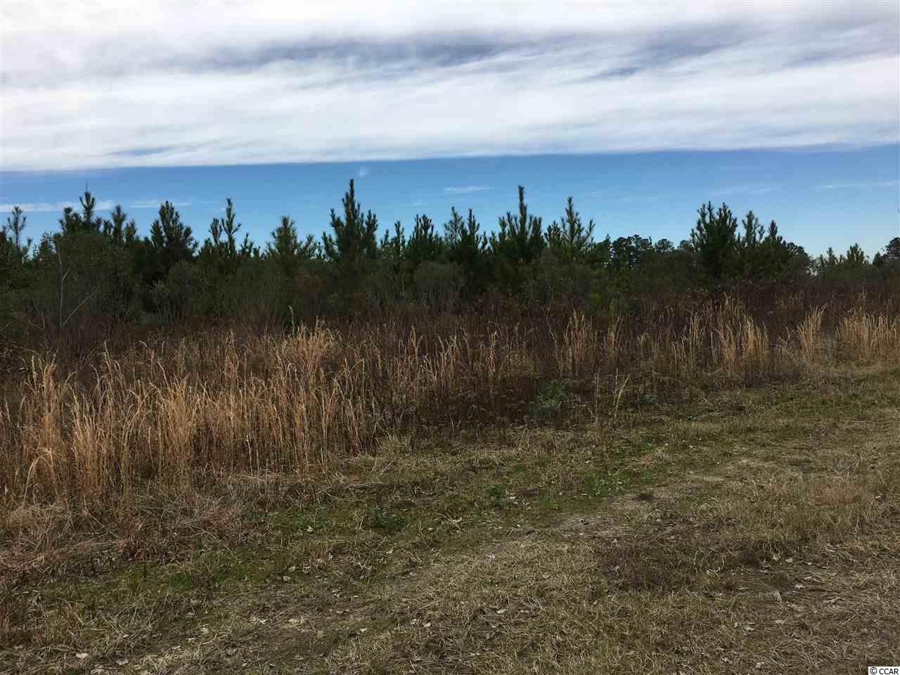 751 South Deerfield Road Johnsonville, SC 29555 - Photo 9 of 14