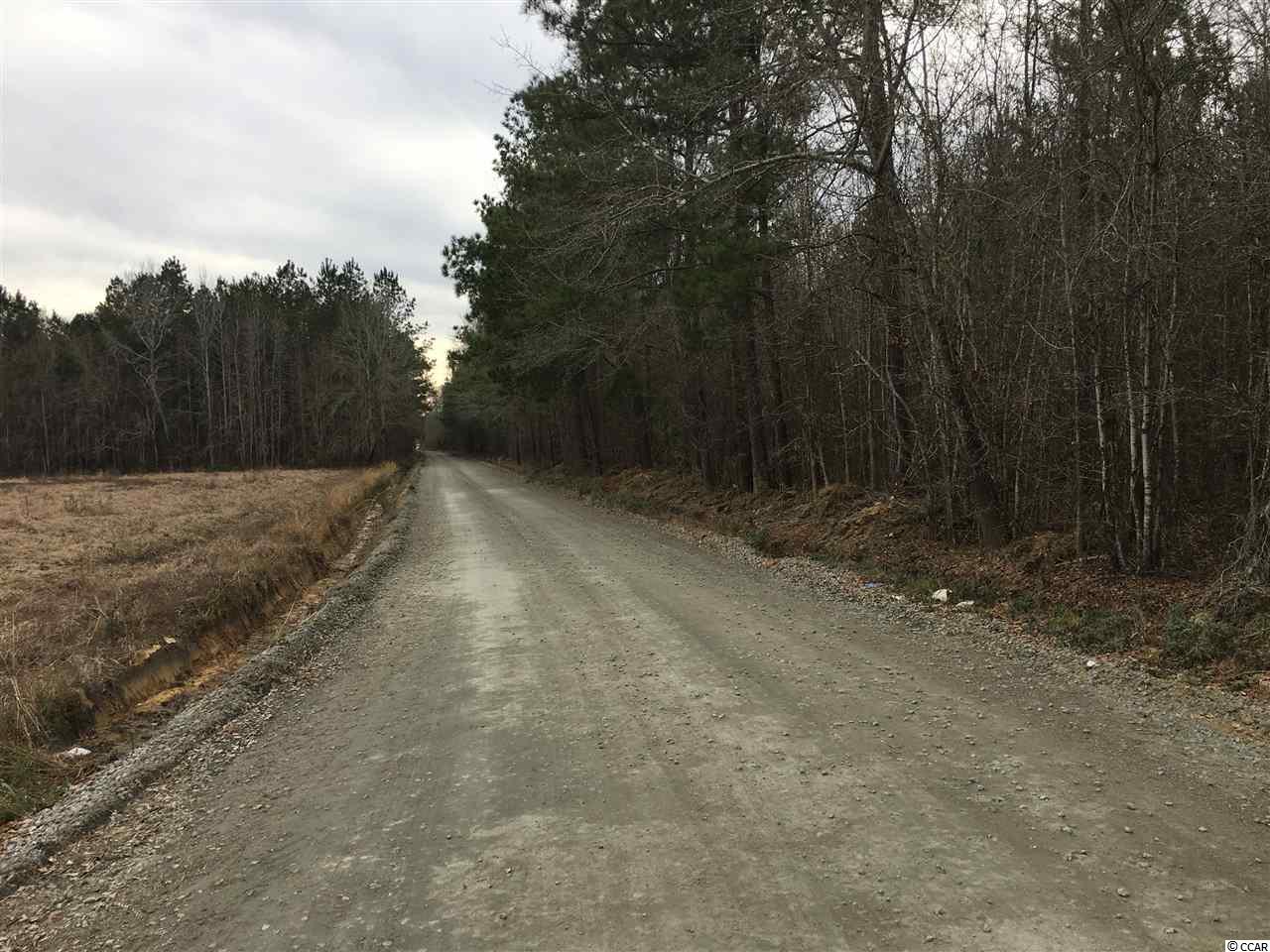 751 South Deerfield Road Johnsonville, SC 29555 - Photo 10 of 14