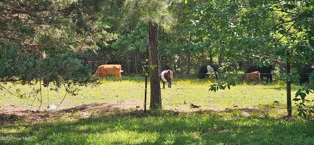 $174,000 | 809 North Broad Street, Roseboro, NC 28382