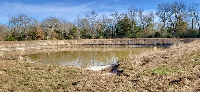 a view of a lake with trees in the background