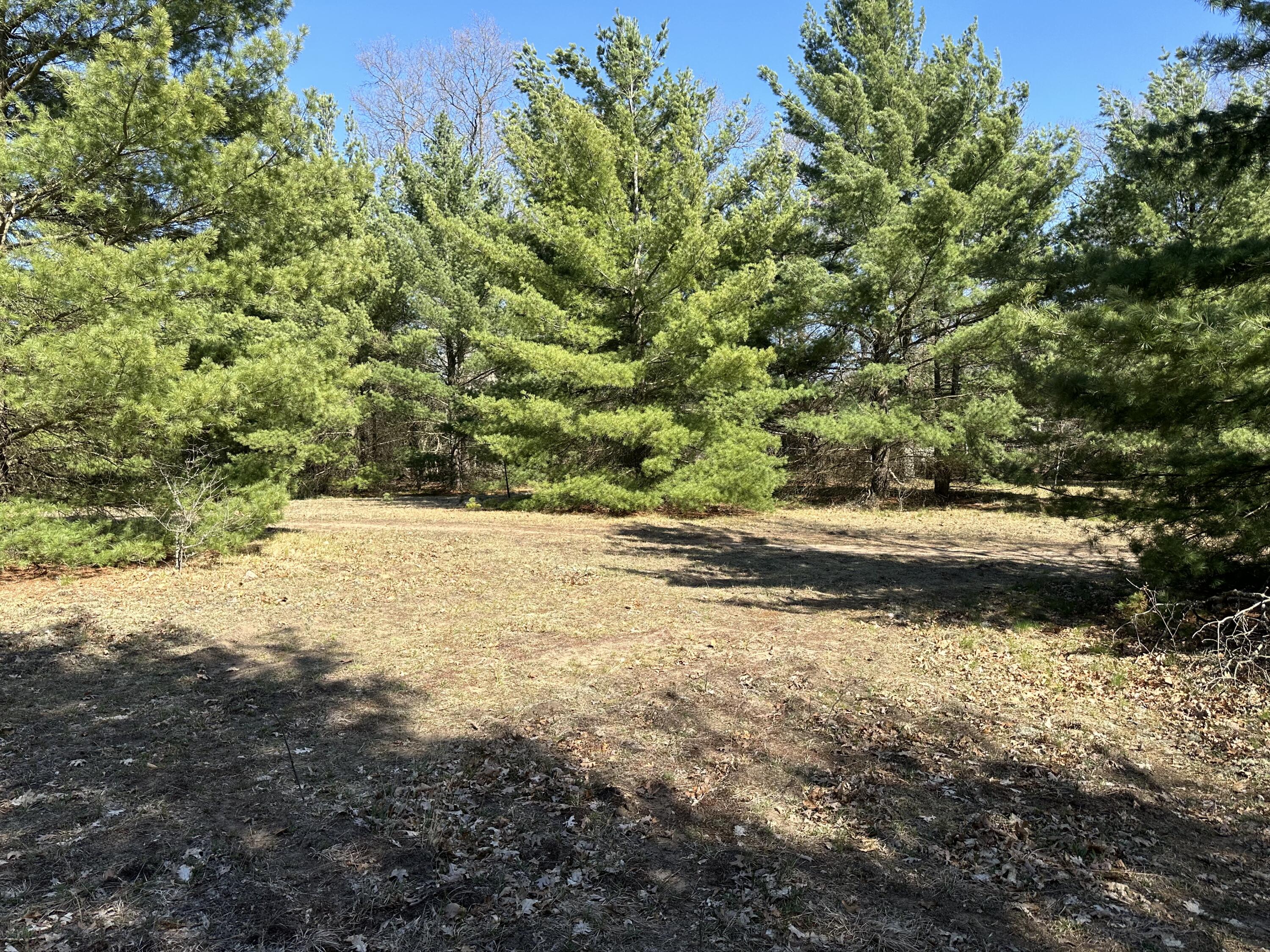3275 Skeels Road Holton, MI 49425 - Photo 13 of 34 IMG_6827