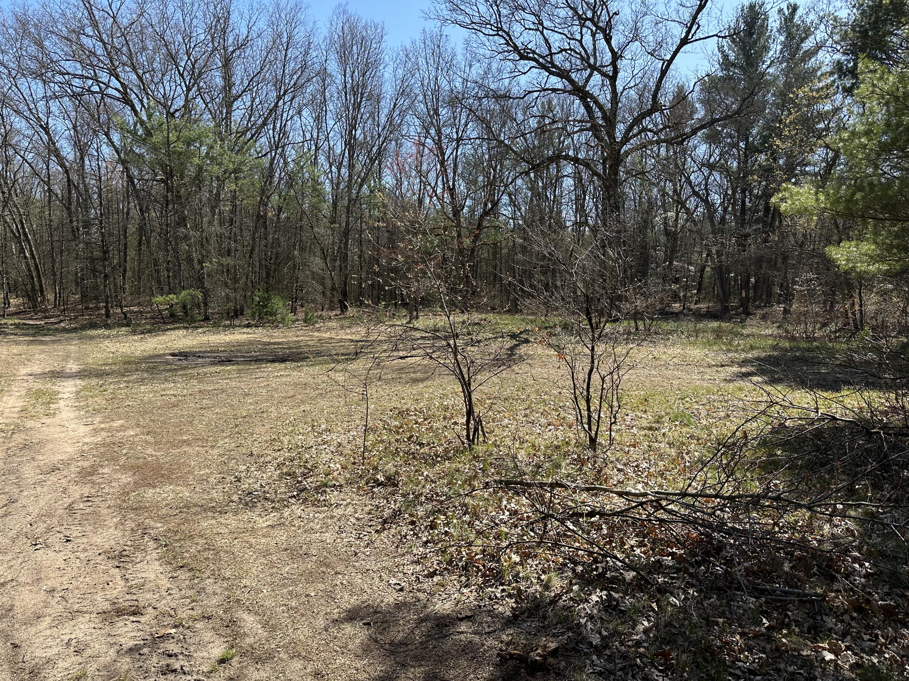3275 Skeels Road Holton, MI 49425 - Photo 17 of 34 IMG_6790