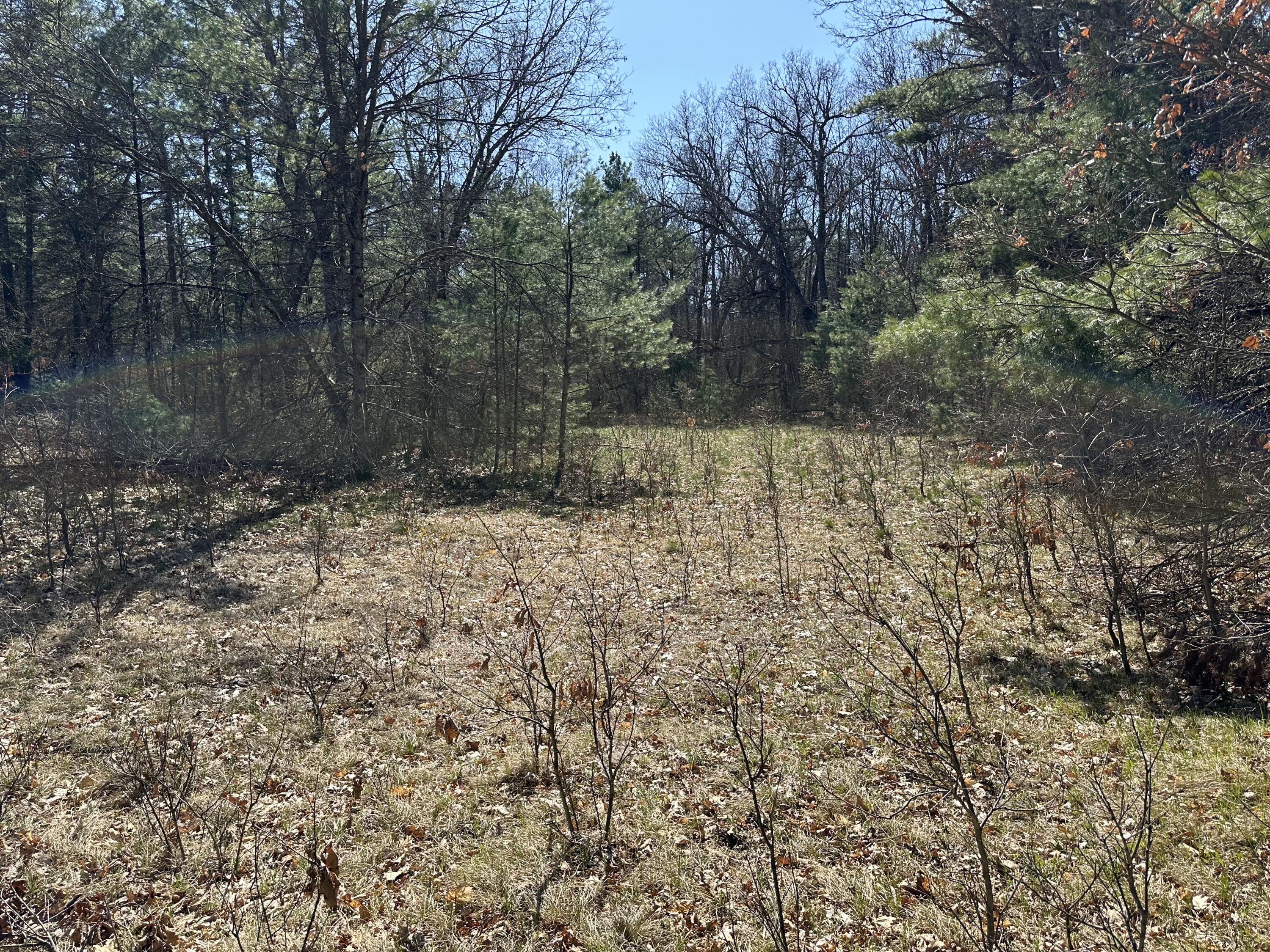 3275 Skeels Road Holton, MI 49425 - Photo 21 of 34 IMG_6802