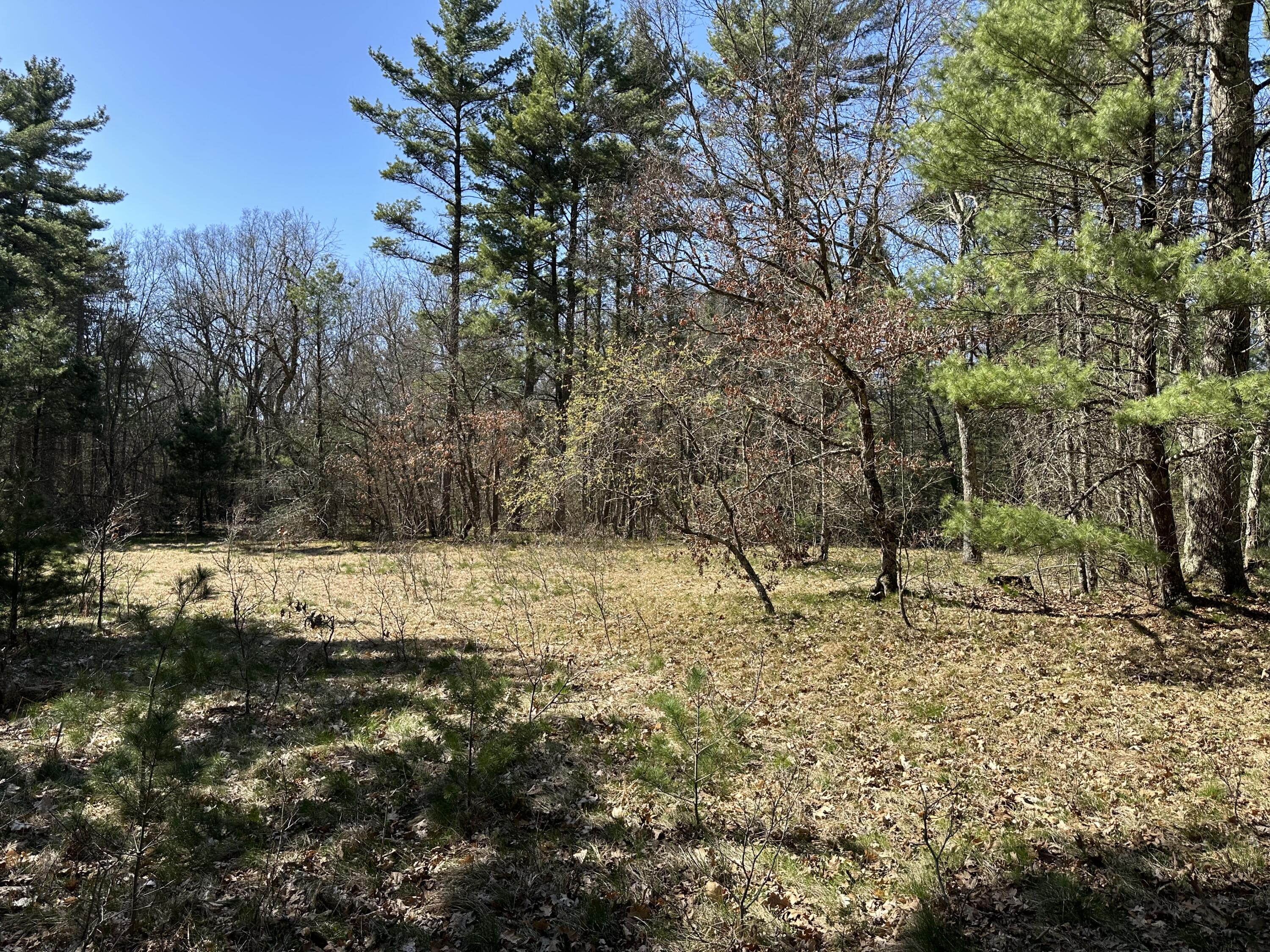 3275 Skeels Road Holton, MI 49425 - Photo 22 of 34 IMG_6809