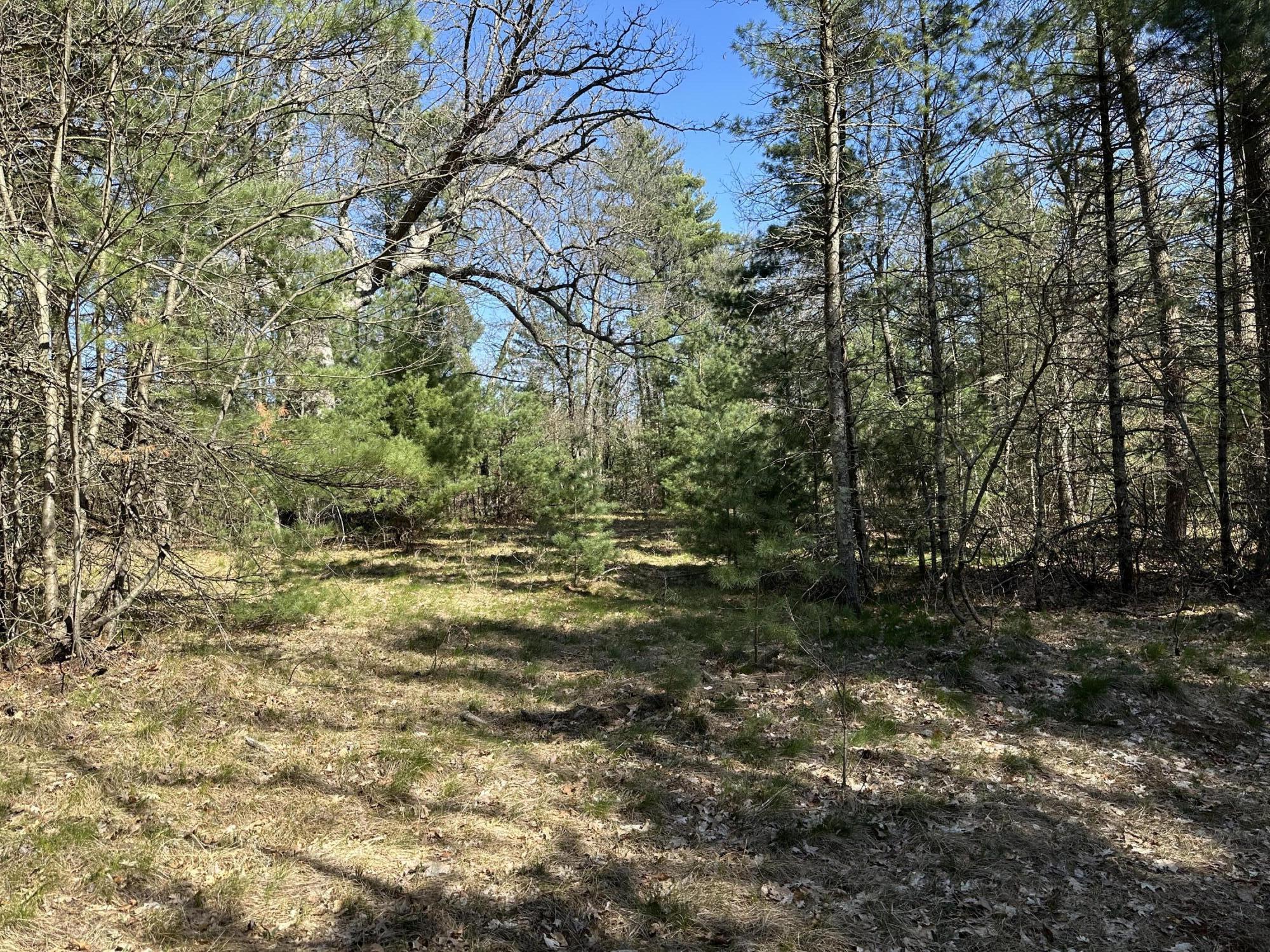 3275 Skeels Road Holton, MI 49425 - Photo 23 of 34 IMG_6812