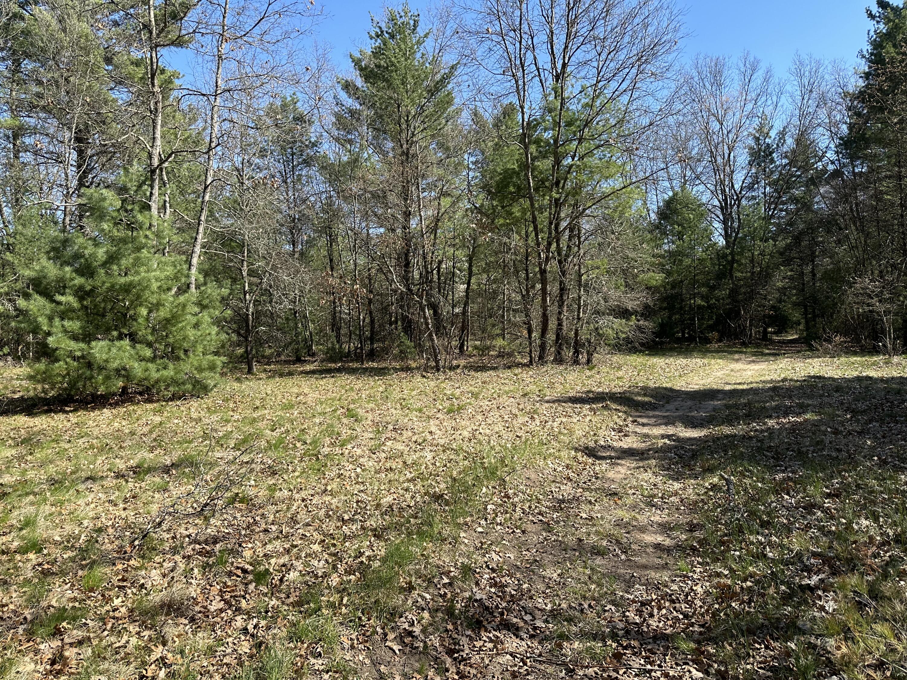 3275 Skeels Road Holton, MI 49425 - Photo 24 of 34 IMG_6813