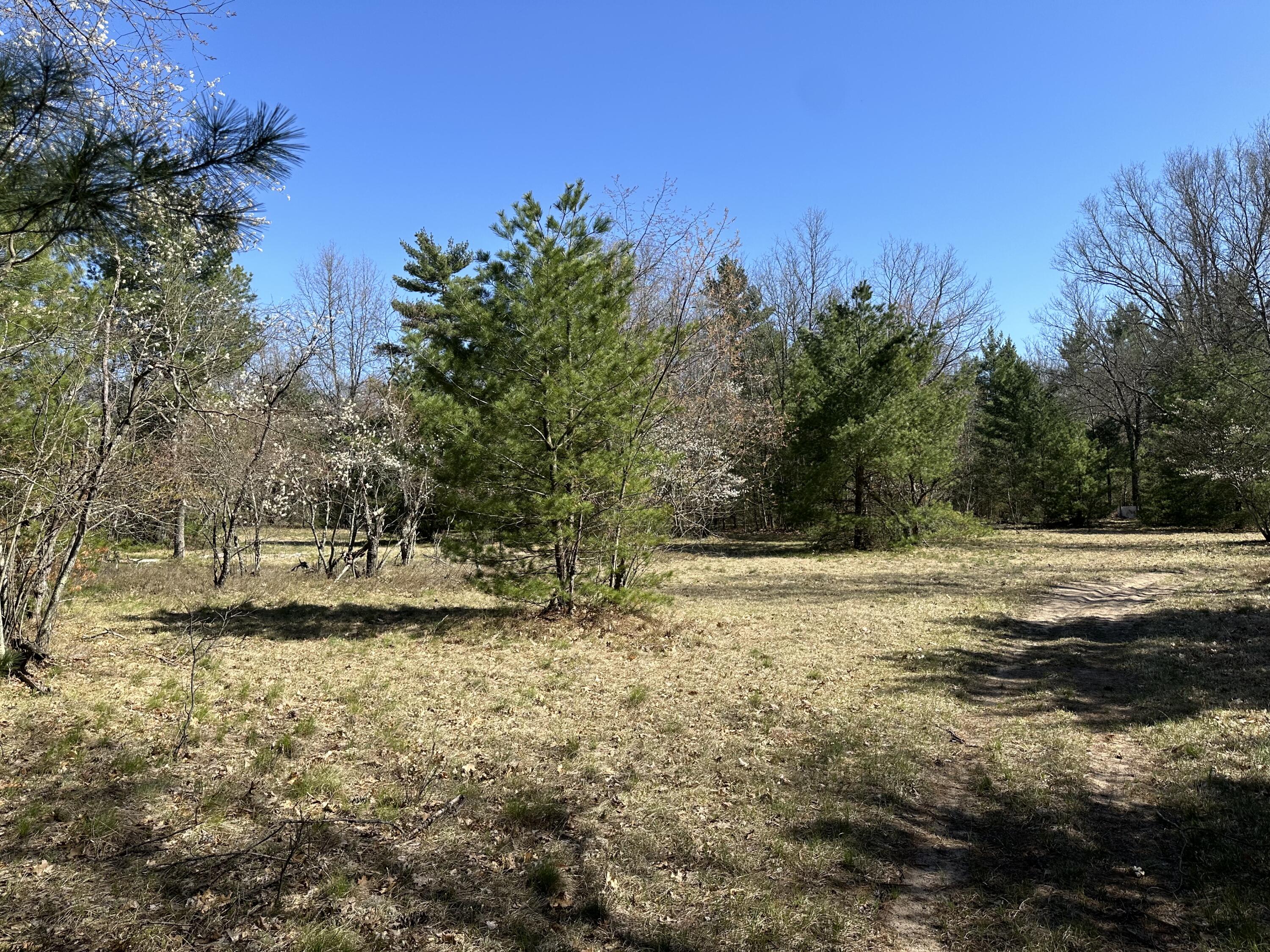 3275 Skeels Road Holton, MI 49425 - Photo 25 of 34 IMG_6814