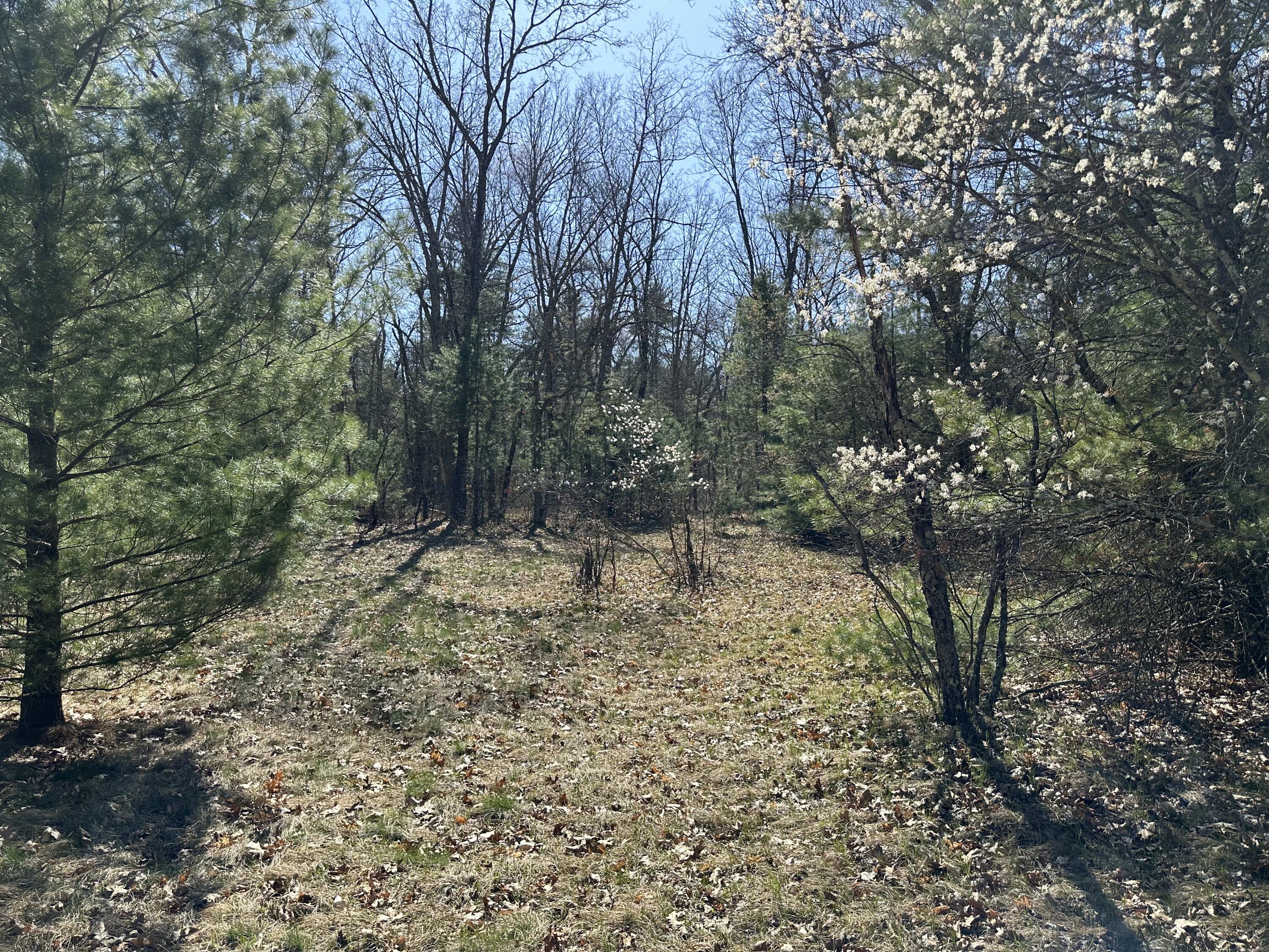 3275 Skeels Road Holton, MI 49425 - Photo 29 of 34 IMG_6818