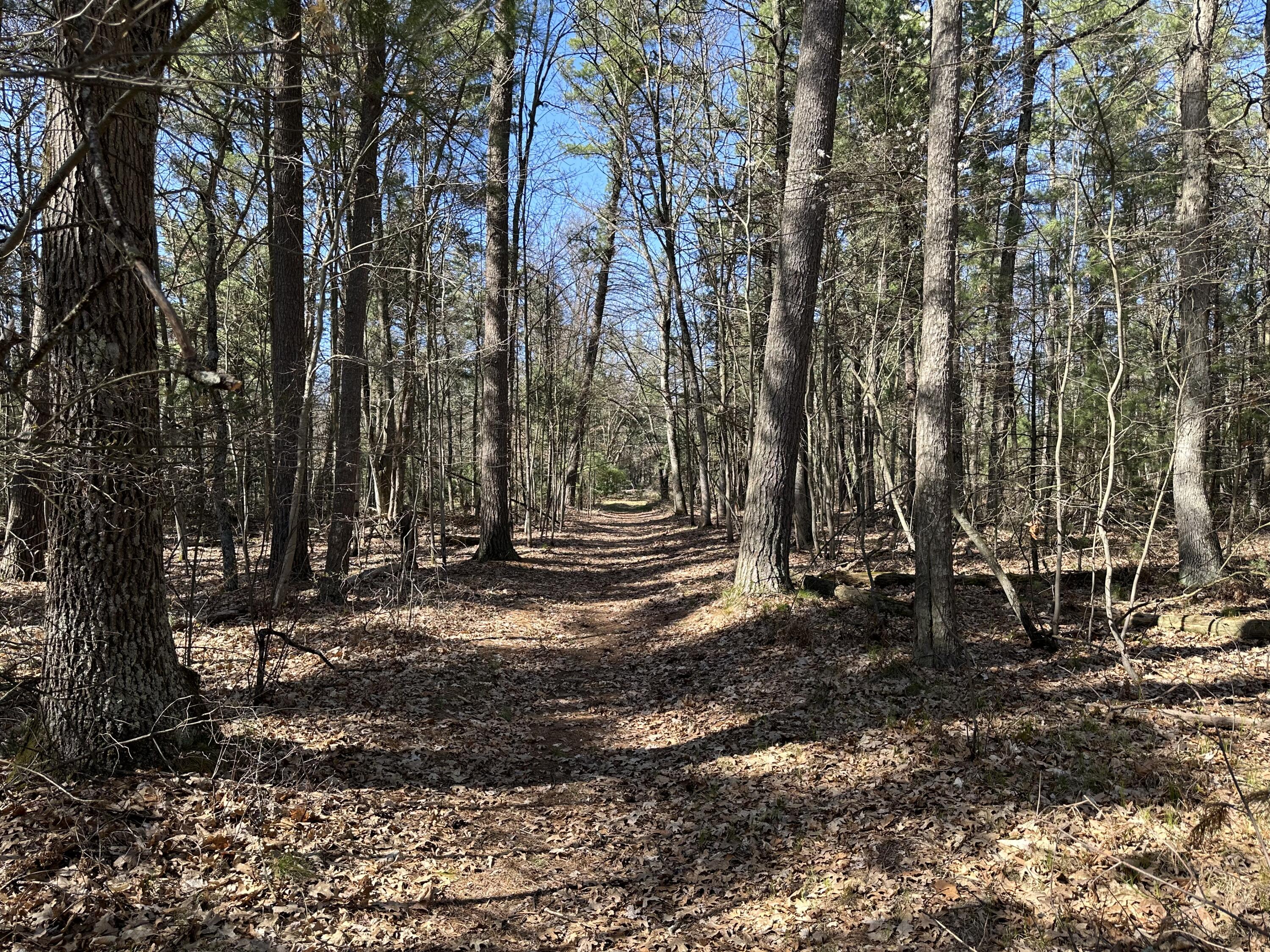 3275 Skeels Road Holton, MI 49425 - Photo 31 of 34 IMG_6821