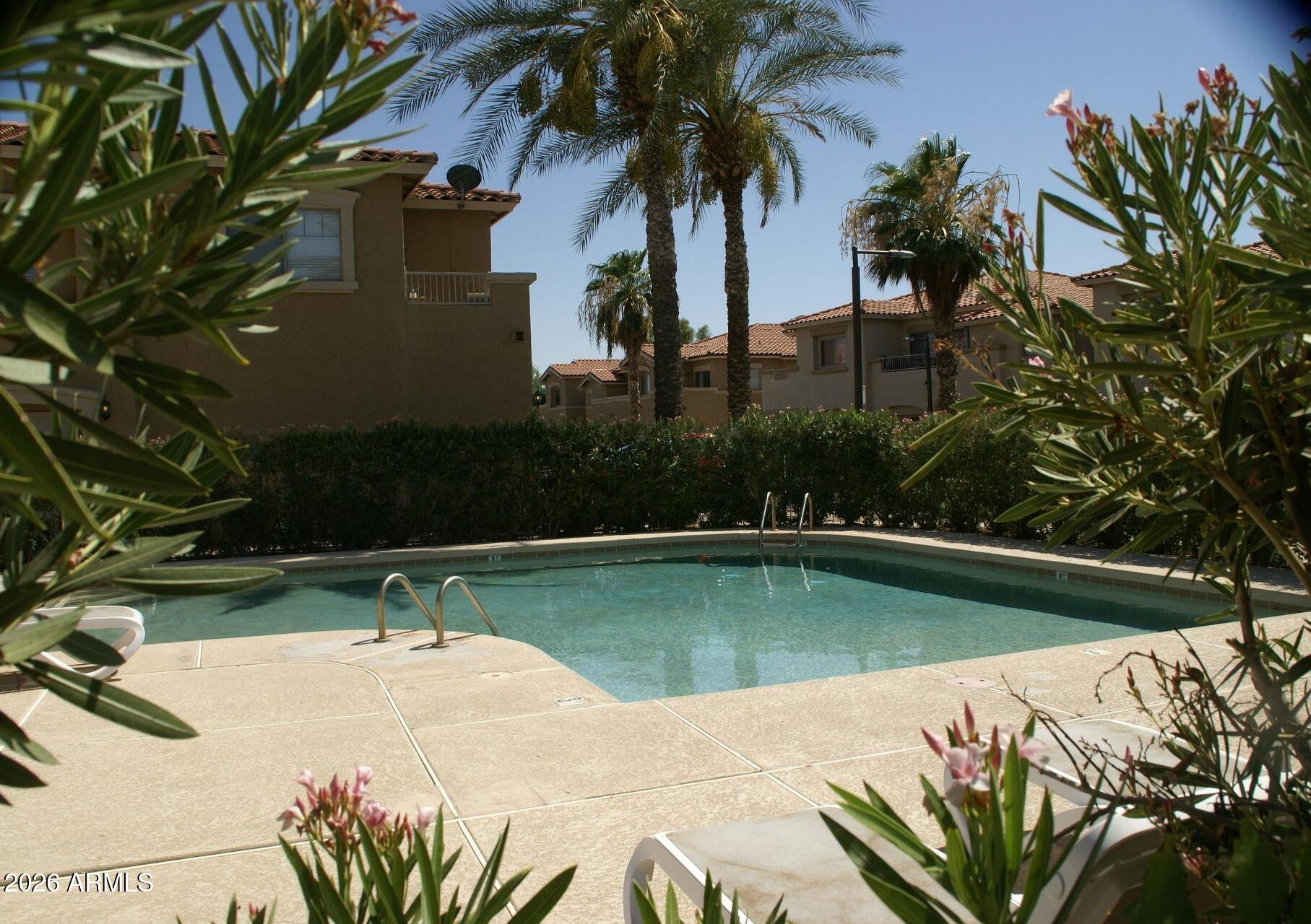 525 North Miller Road, Unit 244 Scottsdale, AZ 85257 - Photo 5 of 17 DSC01607