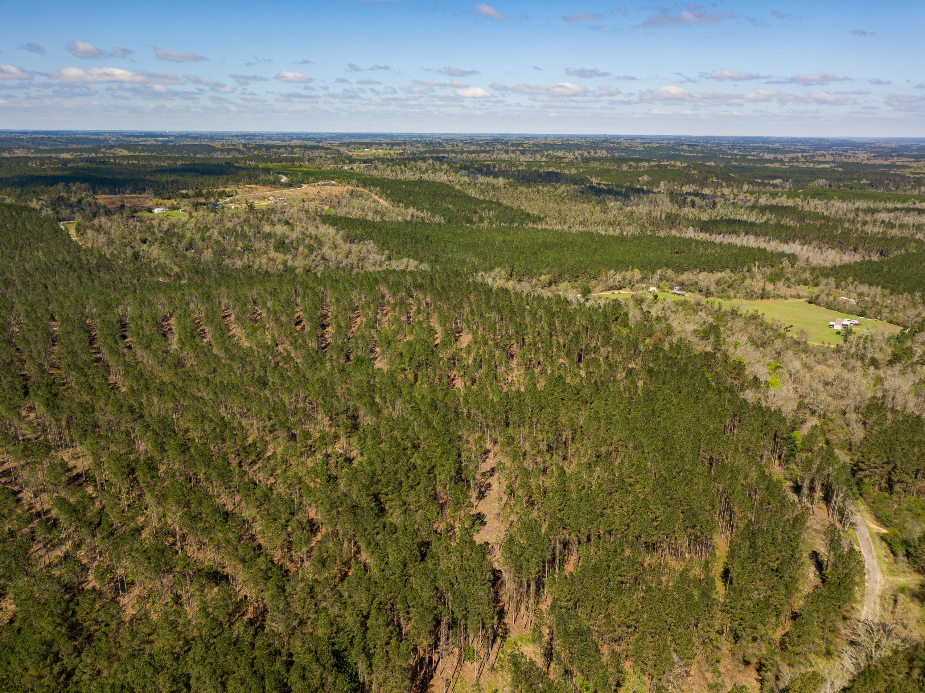 Lot 7 Timothy Road Ellisville, MS 39437 - Photo 11 of 29 Gallery Image 11