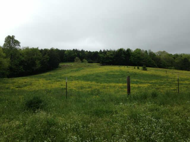 1 Haislip Hollow Road Petersburg, TN 37144 - Photo 2 of 2 Gallery Image 2