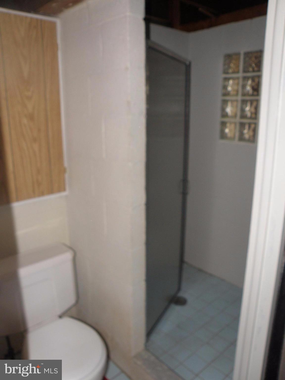 904 Martin Road Baltimore, MD 21221 - Photo 17 of 20 Basement Bath/Shower