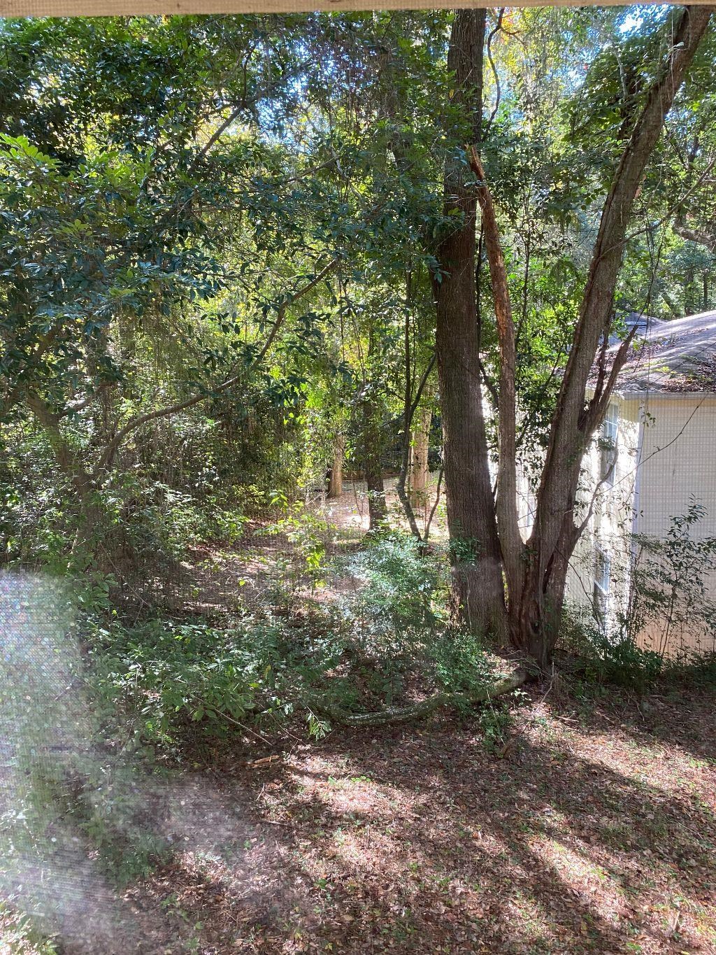 1213 A Stone Road Tallahassee, FL 32303 - Photo 10 of 16 Gallery Image 10