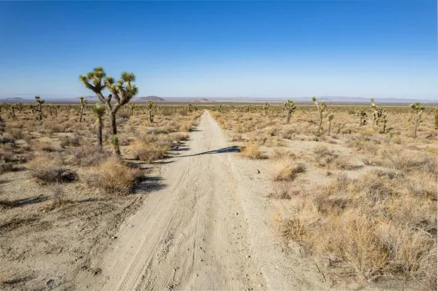 a view of an ocean beach