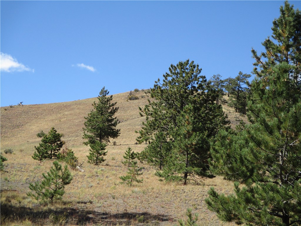 0 Keechi Road Hartsel, CO 80449 - Photo 13 of 20 Gallery Image 13