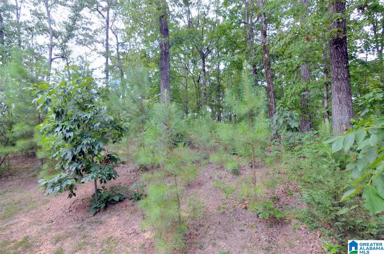 21276 Carson Drive McCalla, AL 35111 - Photo 28 of 48
