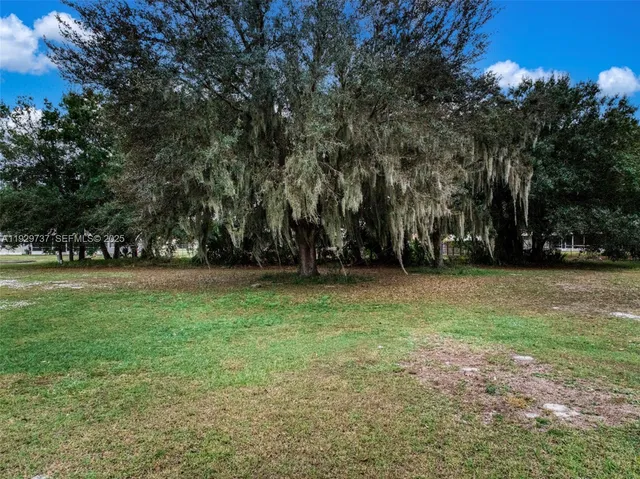an aerial view of a house with a yard and large trees