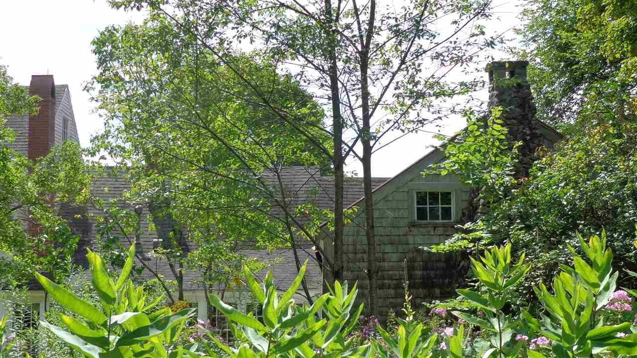 25 North Wilmot Road Wilmot, NH 03287 - Photo 7 of 39 Gallery Image 7