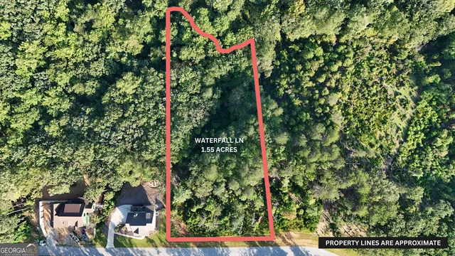 a view of a garden with a houses in the background