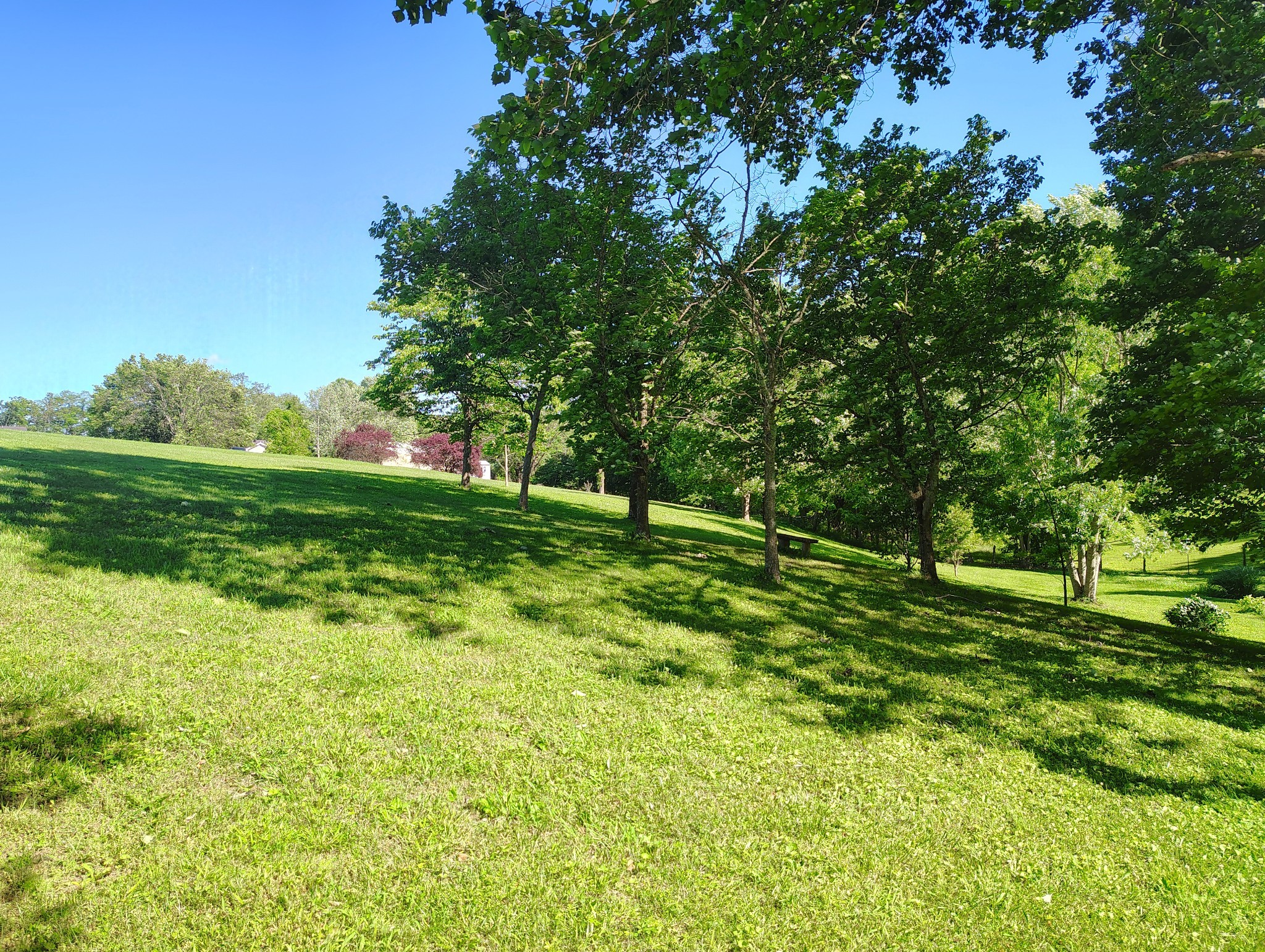 0 Short Street Lafayette, TN 37083 - Photo 5 of 8