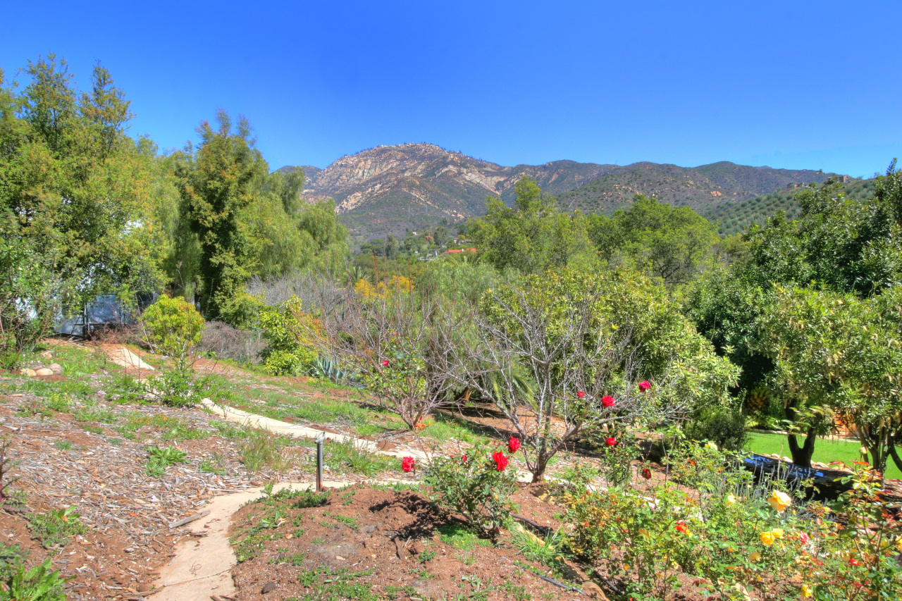 1331 Tunnel Road Santa Barbara, CA 93105 - Photo 22 of 22 a view of a lush green hillside and a houses