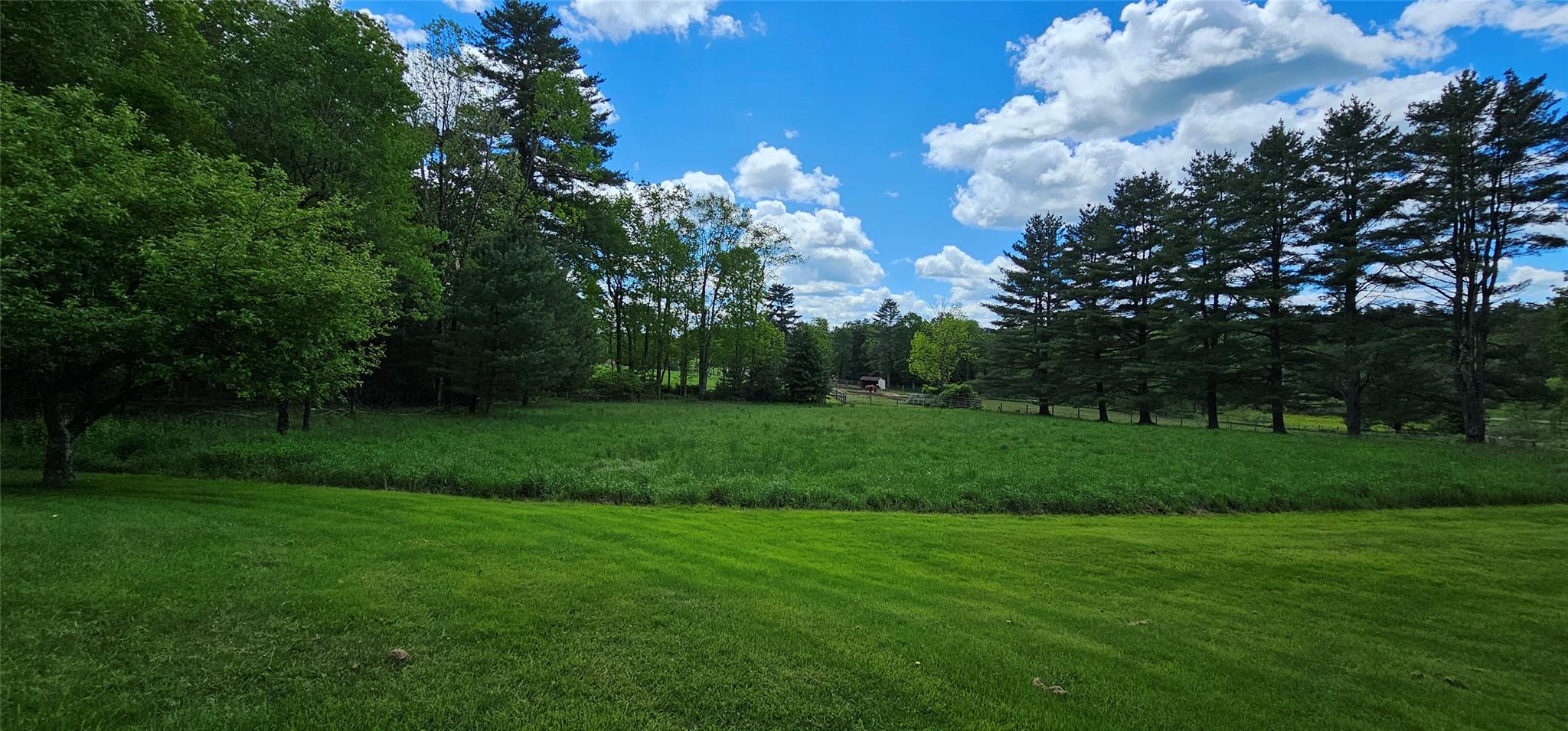 24 Buff Road Cochecton, NY 12726 - Photo 23 of 34 a view of a park with large trees
