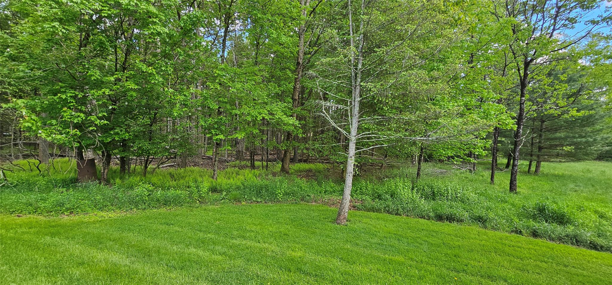 24 Buff Road Cochecton, NY 12726 - Photo 27 of 34 a view of a lush green space