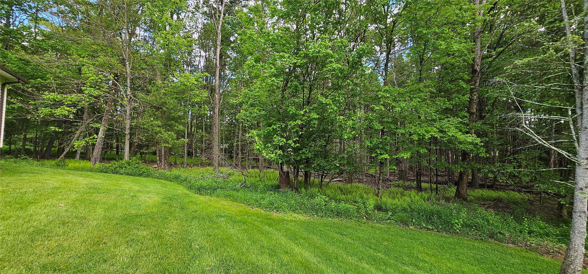 24 Buff Road Cochecton, NY 12726 - Photo 28 of 34 a view of a lush green space