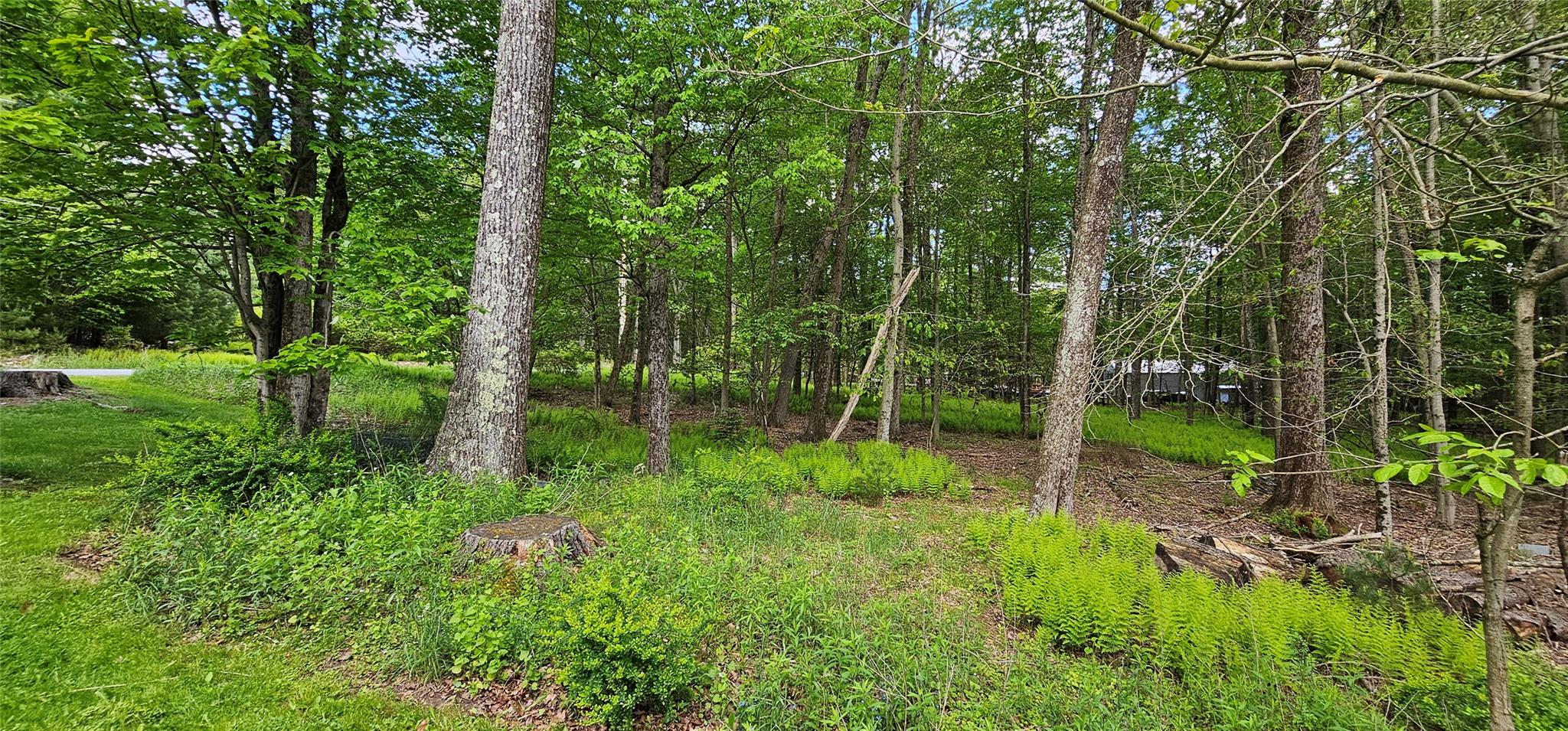 24 Buff Road Cochecton, NY 12726 - Photo 31 of 34