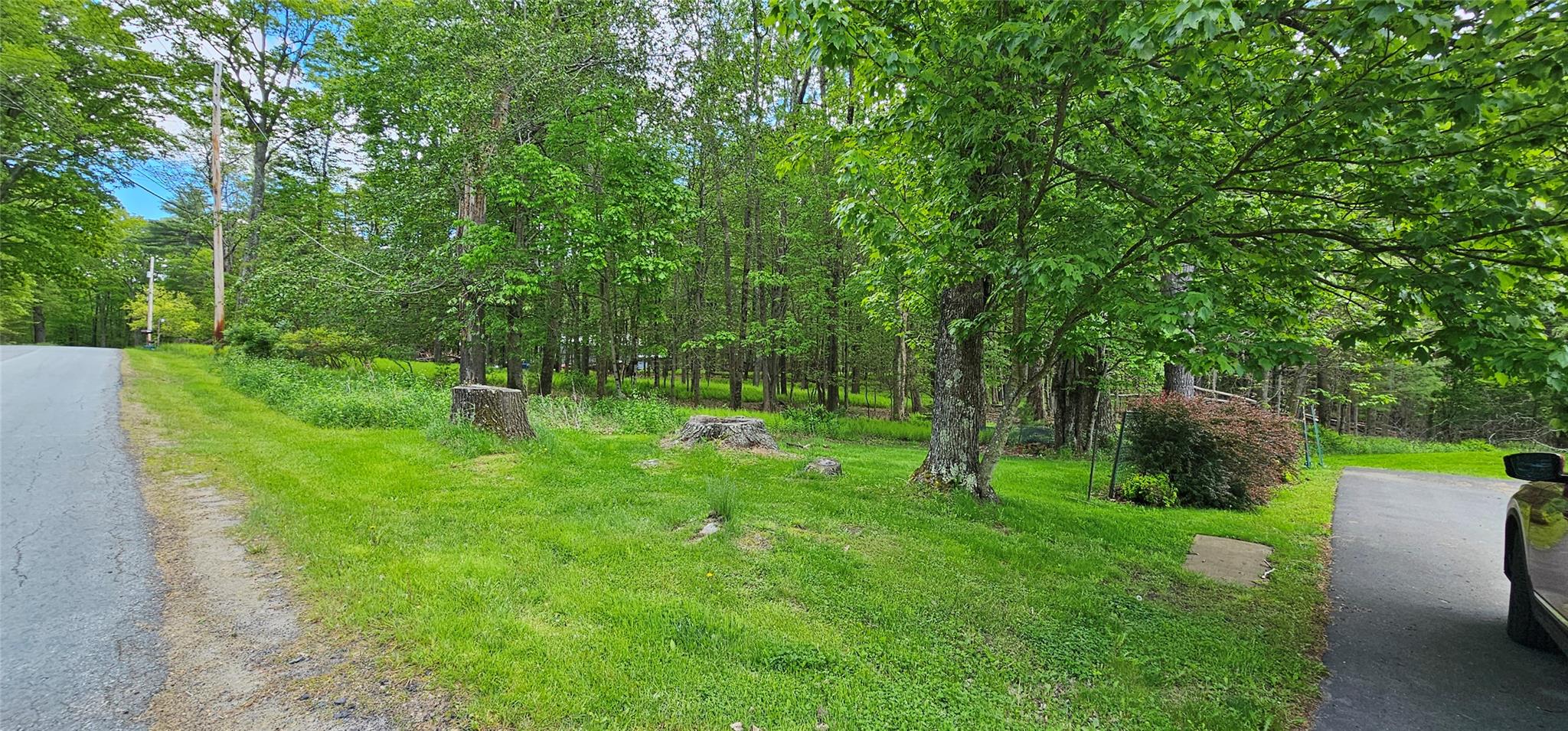 24 Buff Road Cochecton, NY 12726 - Photo 32 of 34 a view of a garden with a tree