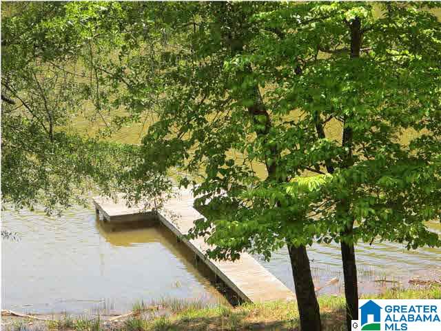 264 County Road 2014 Delta, AL 36258 - Photo 6 of 10