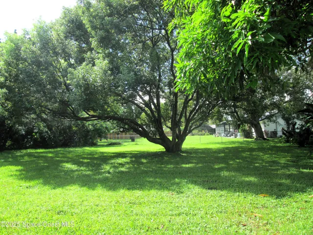 a view of a trees in a yard