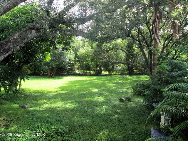 a view of yard with green space