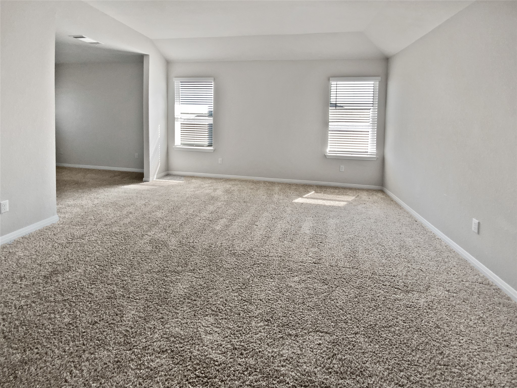 220 Sungrove Trail Georgetown, TX 78628 - Photo 16 of 23 Carpeted empty room with vaulted ceiling and healthy amount of natural light